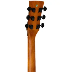 Santana Player D12 NA Western Guitar Nature